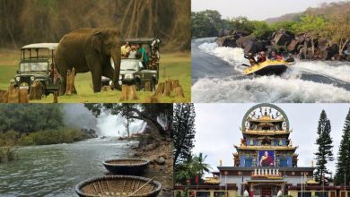 Tourist Places in Coorg: Waterfalls, Elephant Camps to Great Adventures