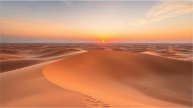 Discover the Magic of the Sahara: The Ultimate Guide to Morocco Desert Tours