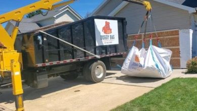 Simplify Your Cleanup with Doggy Bag’s Convenient Waste Removal Services in Mahomet, IL